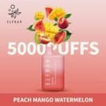 ELF BAR 5000 PUFFS DISPOSABLE VAPE IN UAE Peach Mango Watermelon