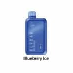 Blueberry Ice