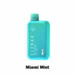 Miami Mint