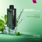 Fresh Mint