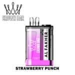 STRAWBERRY PUNCH